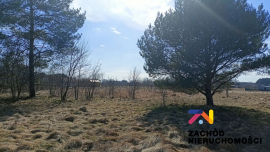 Działka rekreacyjna w pobliżu jeziora Rybojady